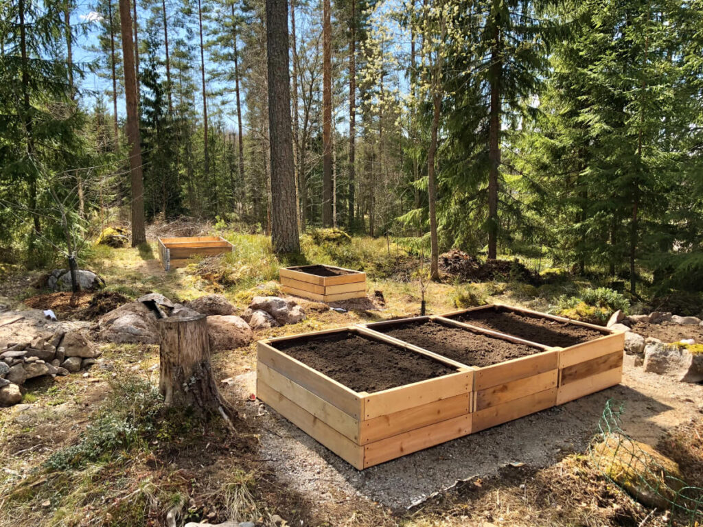 Lavatarhan perustaminen ja kasvimaan kevättyöt